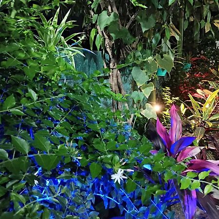 Green View Homestay Siliguri Ngoại thất bức ảnh