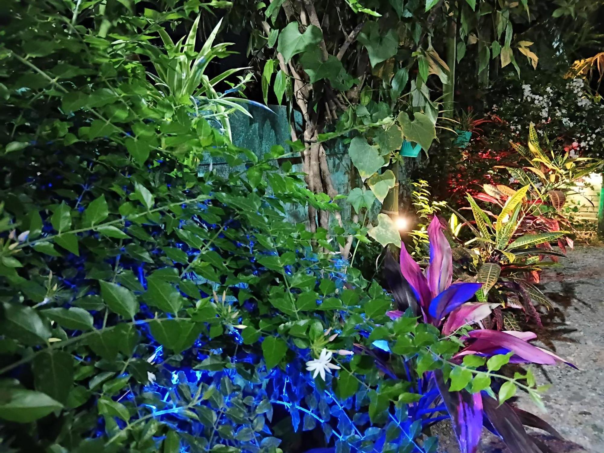Green View Homestay Siliguri Ngoại thất bức ảnh